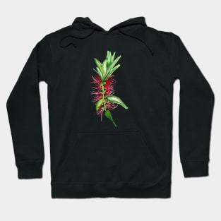 Australian Native Bottlebrush Flower Hoodie